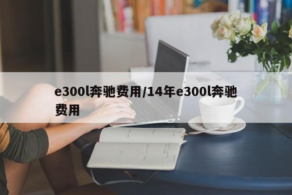 e300l奔驰费用/14年e300l奔驰费用