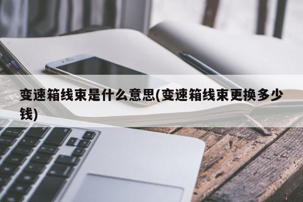 变速箱线束是什么意思(变速箱线束更换多少钱)