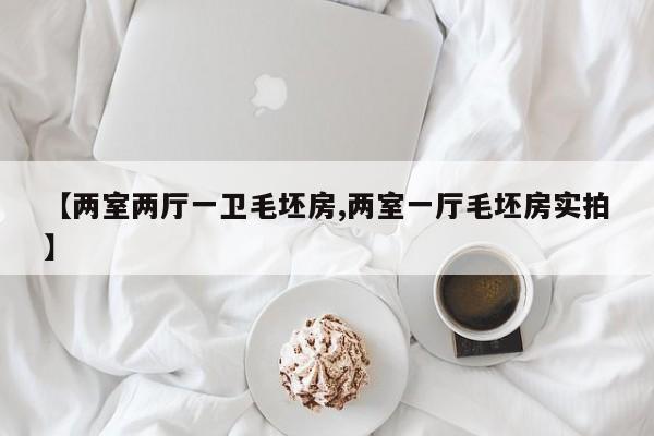 【两室两厅一卫毛坯房,两室一厅毛坯房实拍】