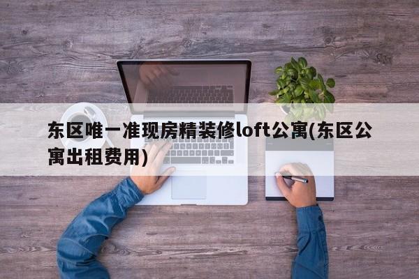 东区唯一准现房精装修loft公寓(东区公寓出租费用)