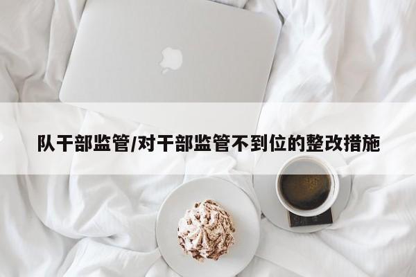 队干部监管/对干部监管不到位的整改措施