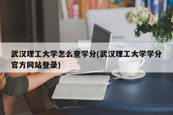 武汉理工大学怎么查学分(武汉理工大学学分官方网站登录)
