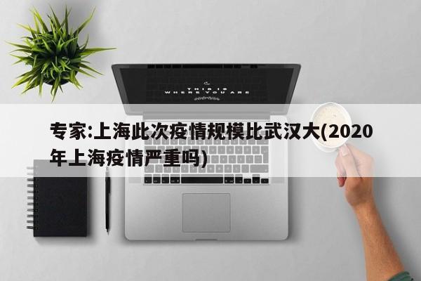 专家:上海此次疫情规模比武汉大(2020年上海疫情严重吗)