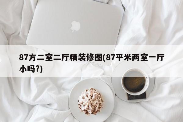 87方二室二厅精装修图(87平米两室一厅小吗?)