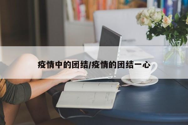 疫情中的团结/疫情的团结一心