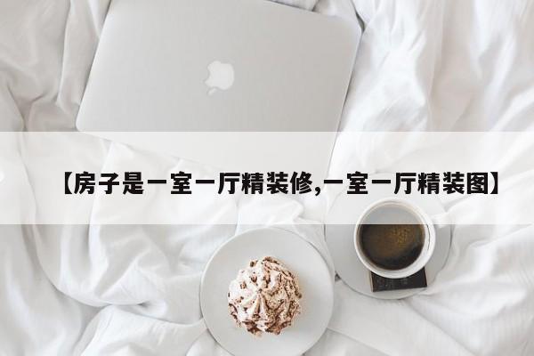 【房子是一室一厅精装修,一室一厅精装图】