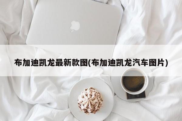 布加迪凯龙最新款图(布加迪凯龙汽车图片)