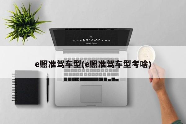 e照准驾车型(e照准驾车型考啥)