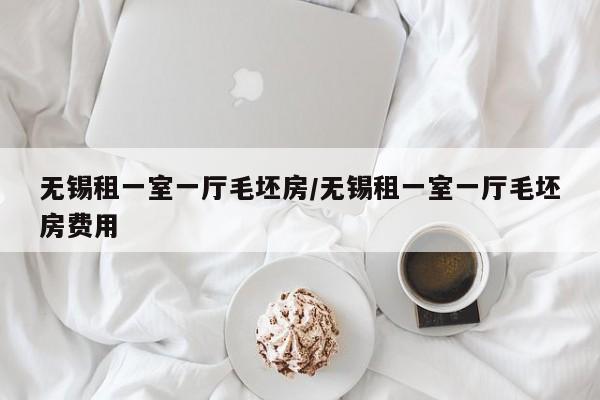 无锡租一室一厅毛坯房/无锡租一室一厅毛坯房费用