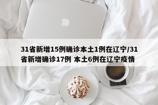 31省新增15例确诊本土1例在辽宁/31省新增确诊17例 本土6例在辽宁疫情