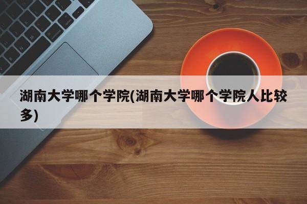 湖南大学哪个学院(湖南大学哪个学院人比较多)