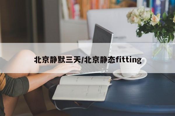 北京静默三天/北京静态fitting
