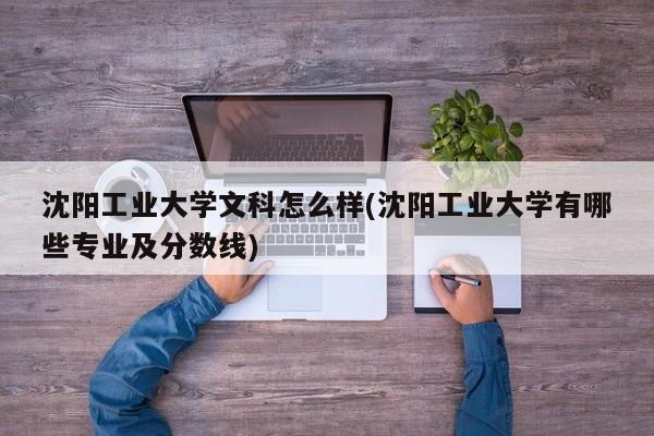 沈阳工业大学文科怎么样(沈阳工业大学有哪些专业及分数线)