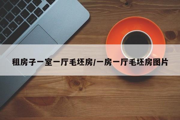 租房子一室一厅毛坯房/一房一厅毛坯房图片