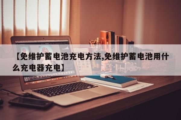 【免维护蓄电池充电方法,免维护蓄电池用什么充电器充电】