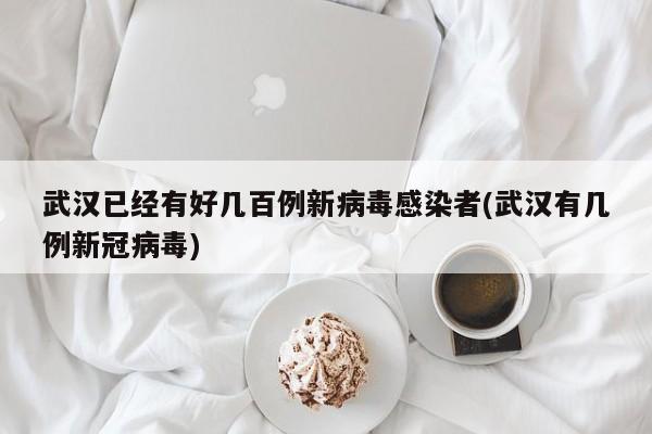 武汉已经有好几百例新病毒感染者(武汉有几例新冠病毒)