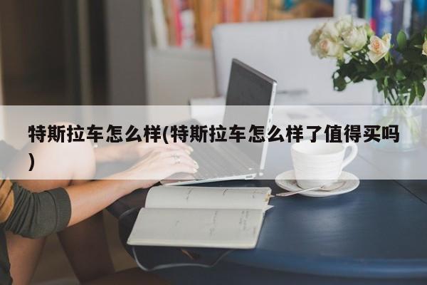 特斯拉车怎么样(特斯拉车怎么样了值得买吗)