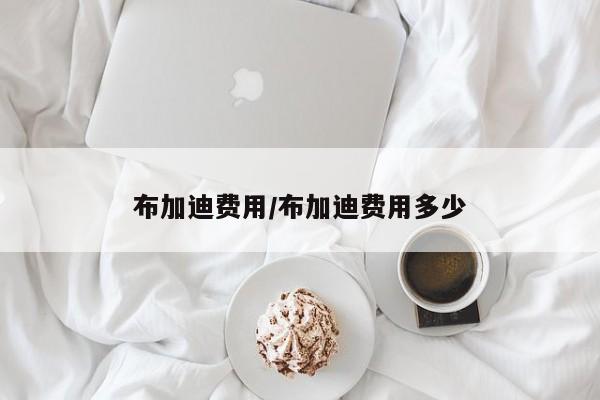布加迪费用/布加迪费用多少