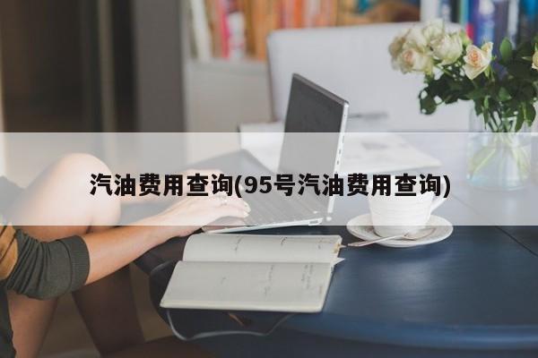 汽油费用查询(95号汽油费用查询)