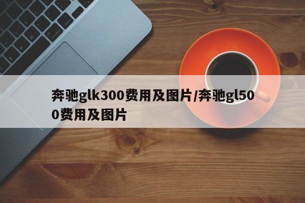奔驰glk300费用及图片/奔驰gl500费用及图片