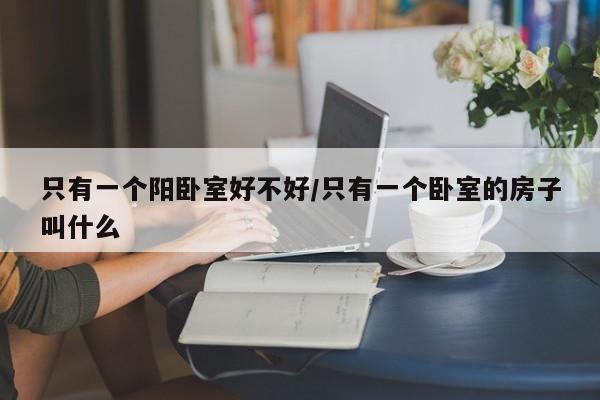 只有一个阳卧室好不好/只有一个卧室的房子叫什么
