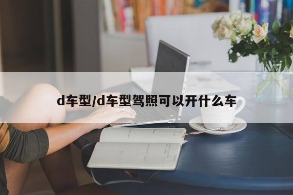 d车型/d车型驾照可以开什么车