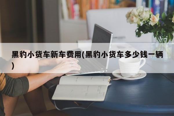 黑豹小货车新车费用(黑豹小货车多少钱一辆)
