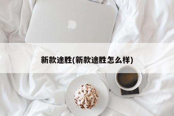 新款途胜(新款途胜怎么样)