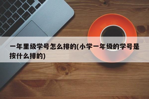 一年里级学号怎么排的(小学一年级的学号是按什么排的)