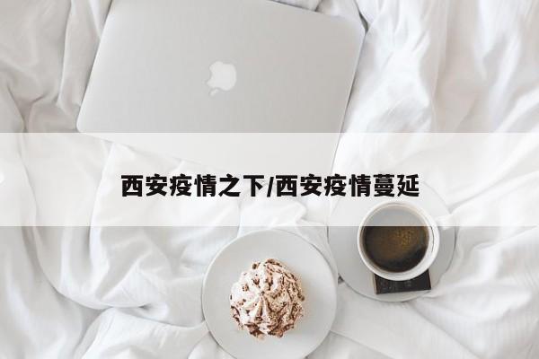西安疫情之下/西安疫情蔓延