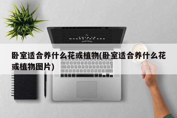 卧室适合养什么花或植物(卧室适合养什么花或植物图片)